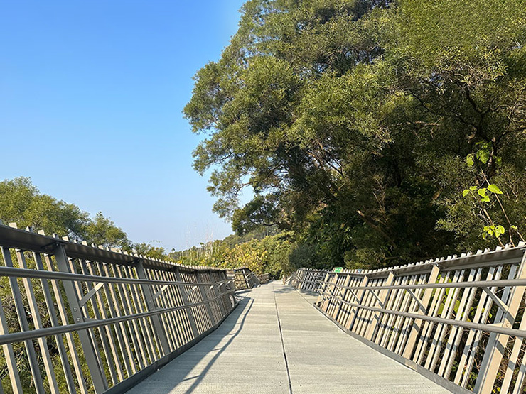Cina Fuzhou Kota Hutan Pavement